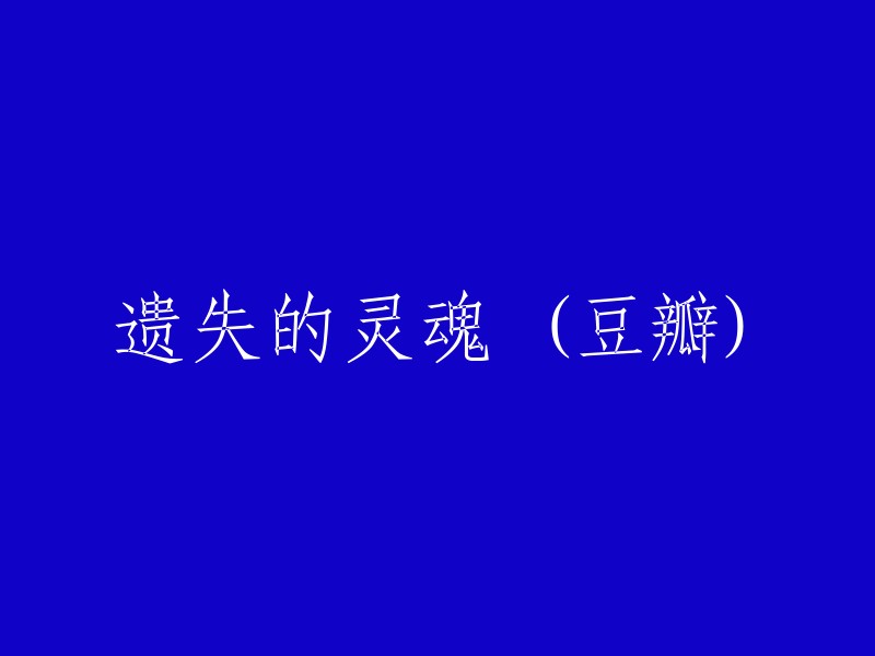 《遗失的灵魂》豆瓣评分解析